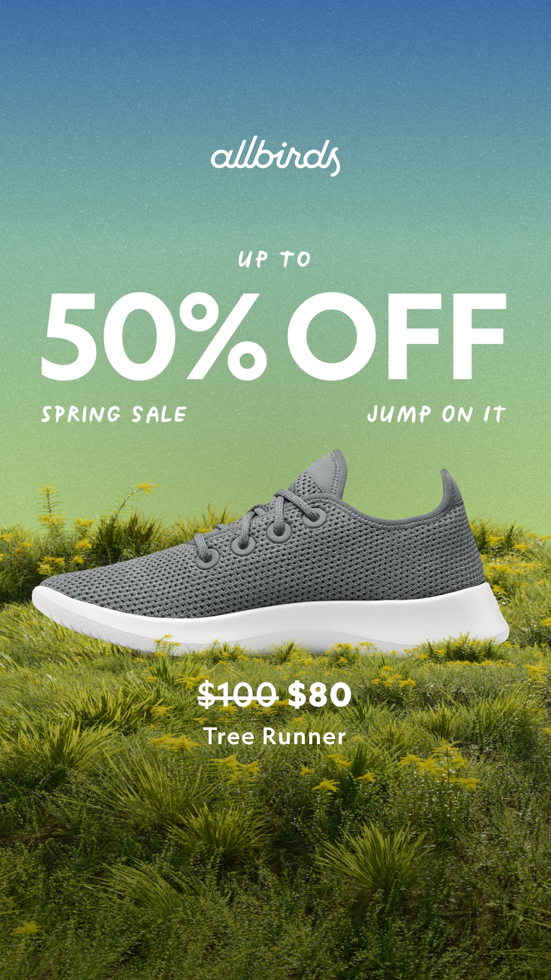Allbirds Facebook ad