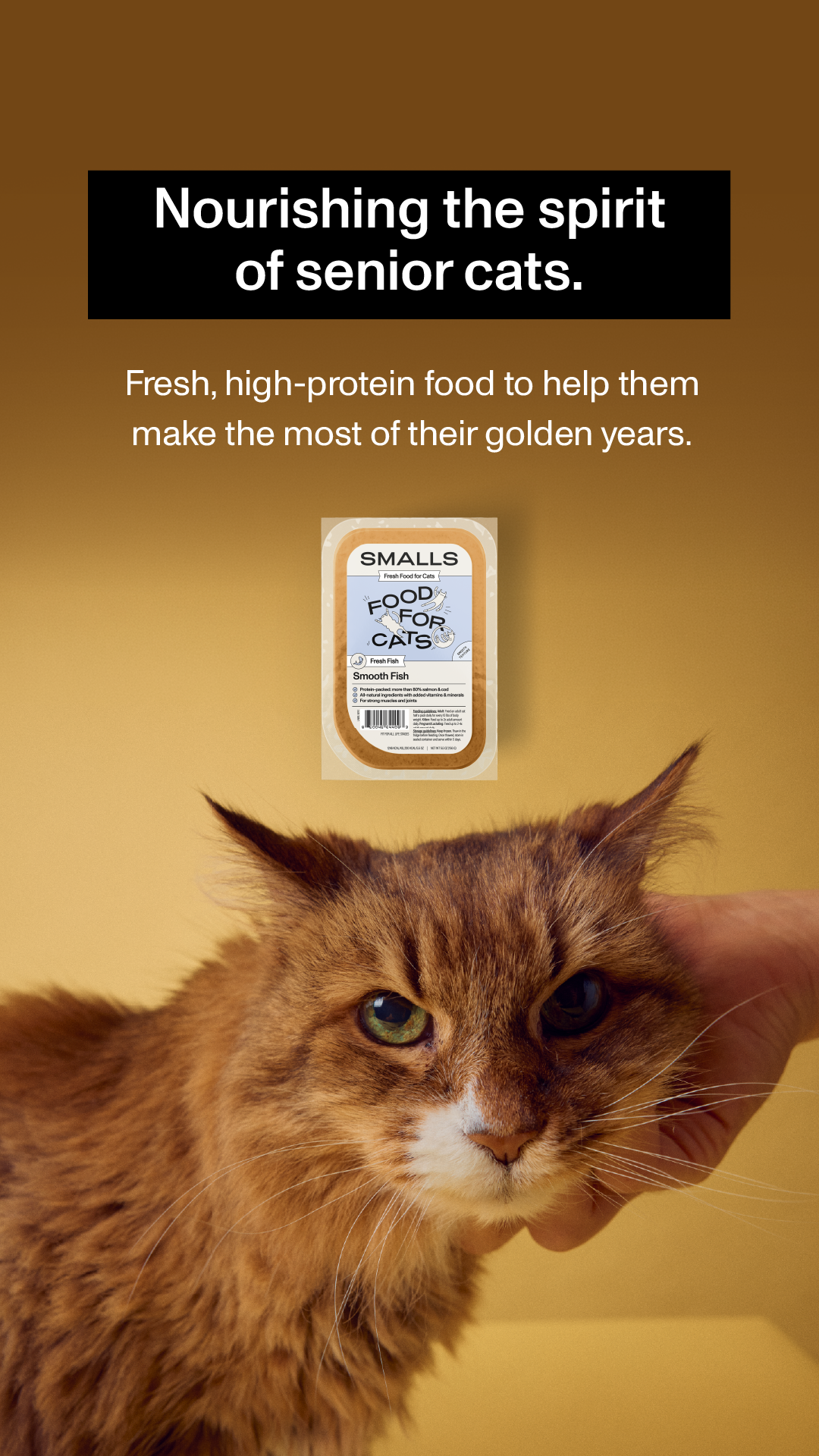 Smalls Facebook ad: Human-Grade Fresh Cat Food