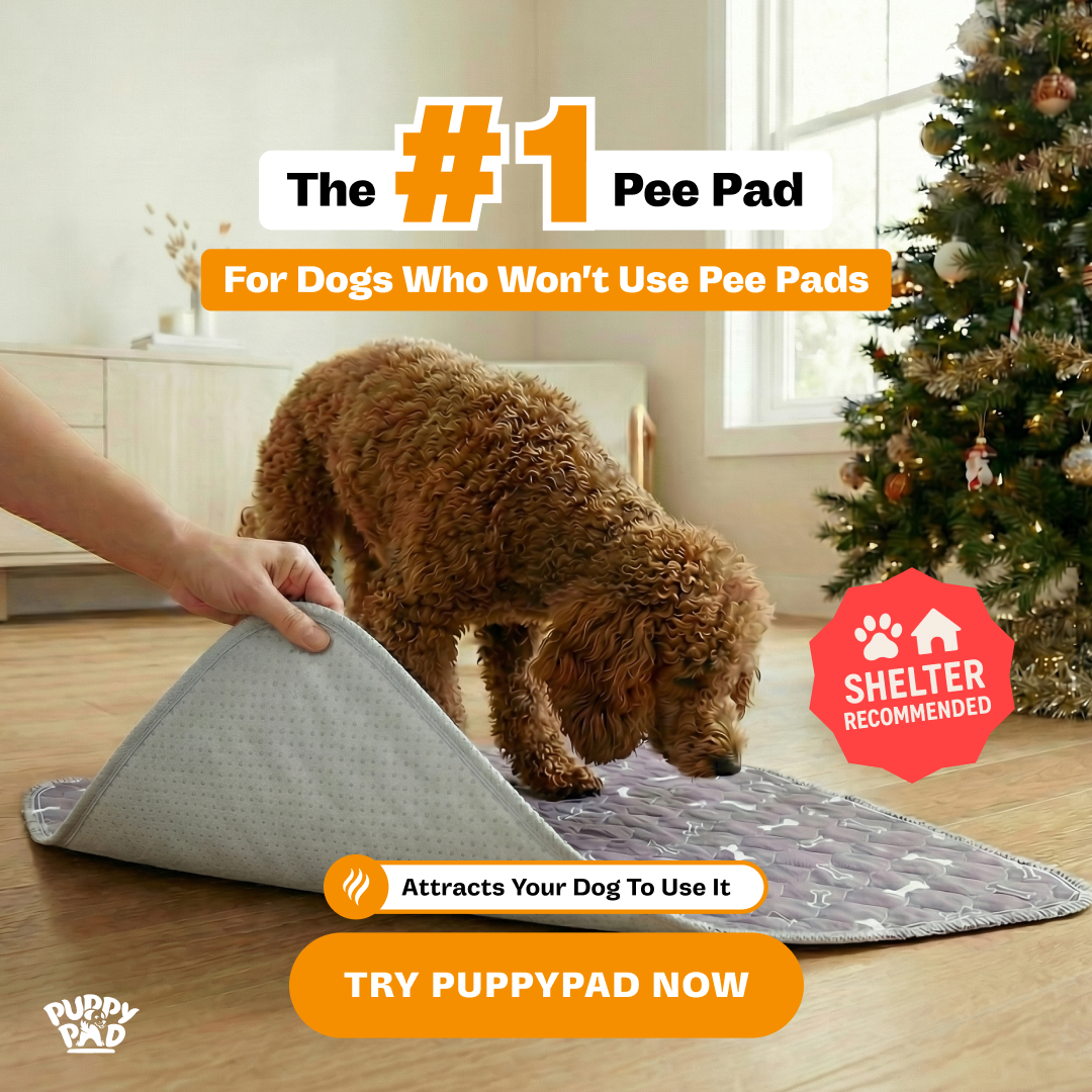 PuppyPad Facebook ad