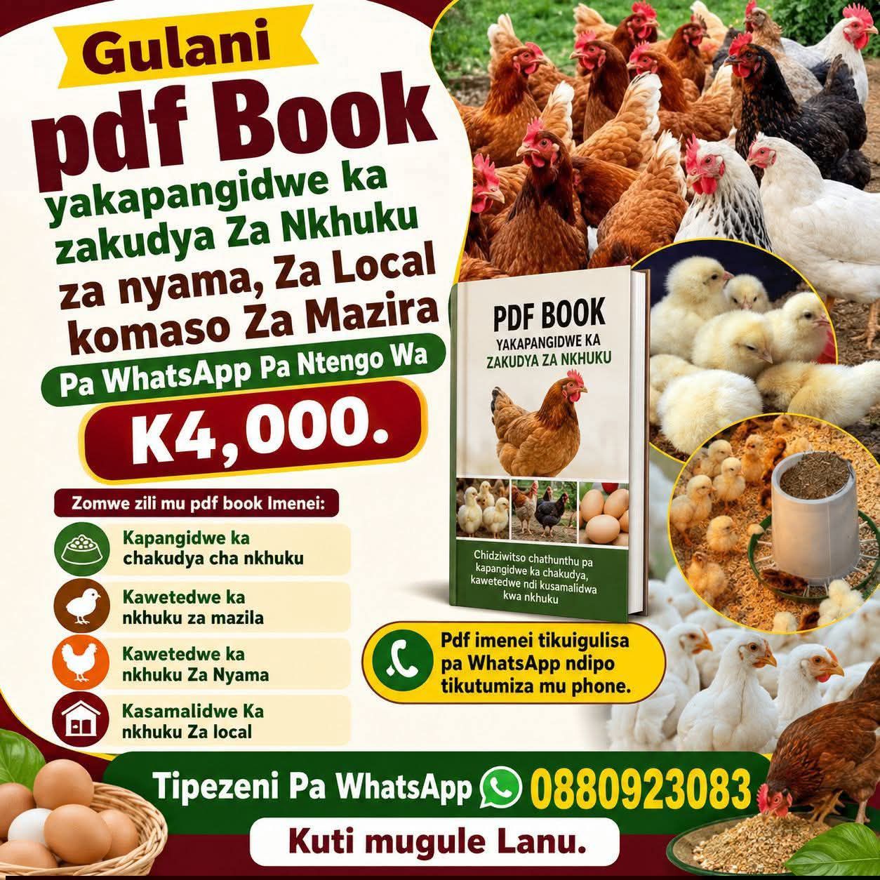 Jedih Cooking Skills Centre Facebook ad: Kugula zakudya za nkhuku ndipo muzipanga nokha kuti…