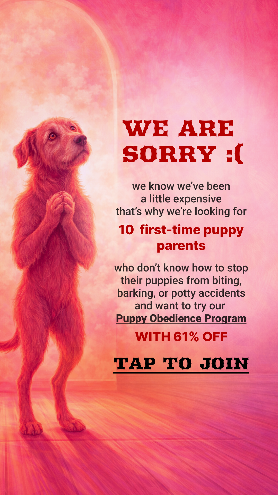 Dog Training & Tips Facebook ad
