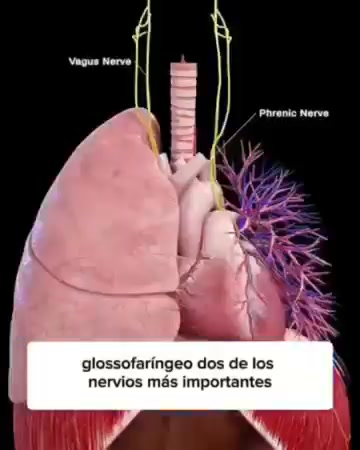Tienda Yapita Facebook ad: ¿Cuello Tenso?