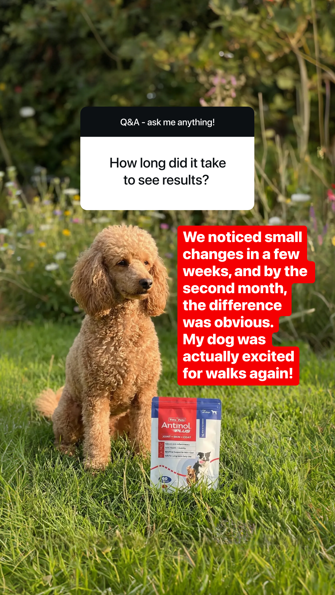 Antinol Australia Facebook ad: Packed Full of the Good Stuff