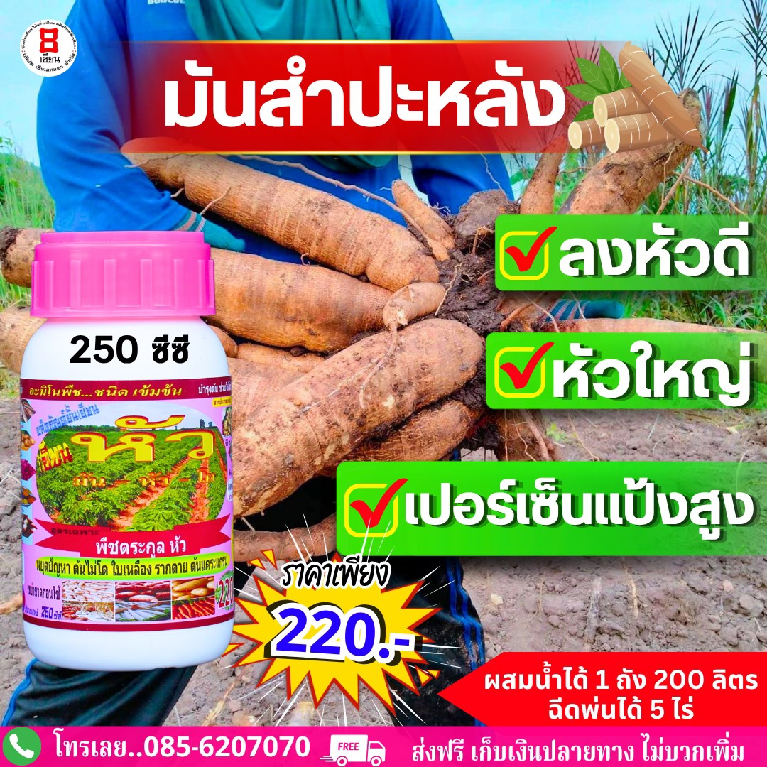 8เซียน Sienkaset 085-6207070 Facebook ad