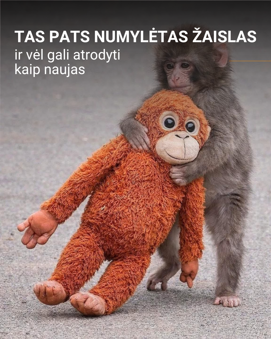 Paulini - drabužių valykla Facebook ad