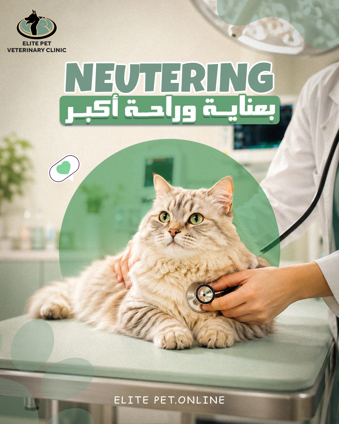 Elite Pet Veterinary Clinic Facebook ad
