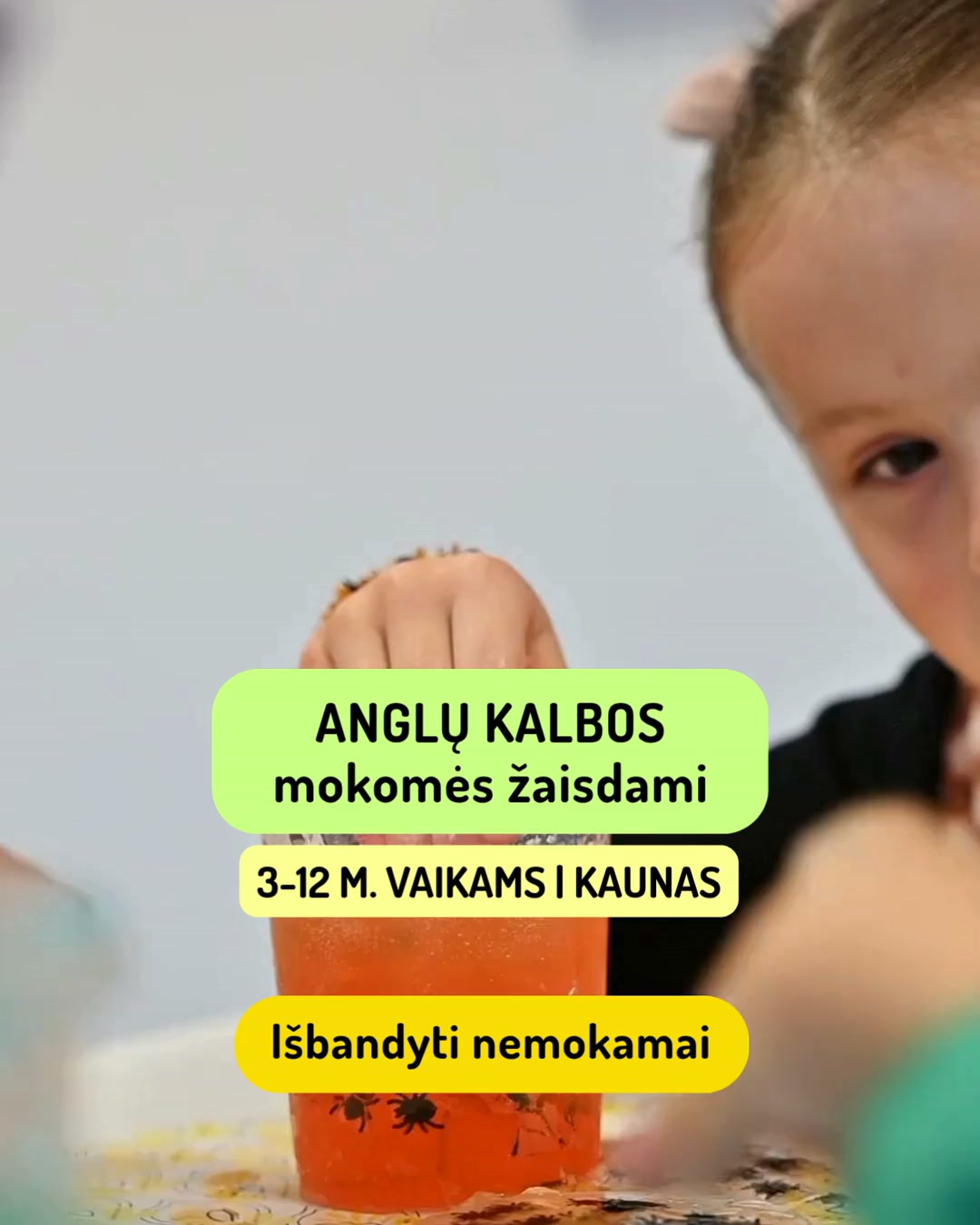 Vivus English Language House Facebook ad: Registracija nemokamai pažintinei pamokai