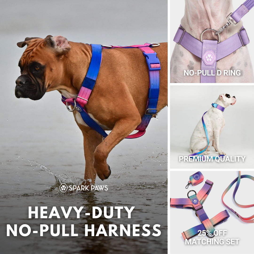 Spark Paws Facebook ad