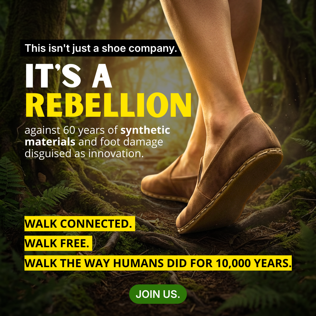 Earthing Harmony Facebook ad