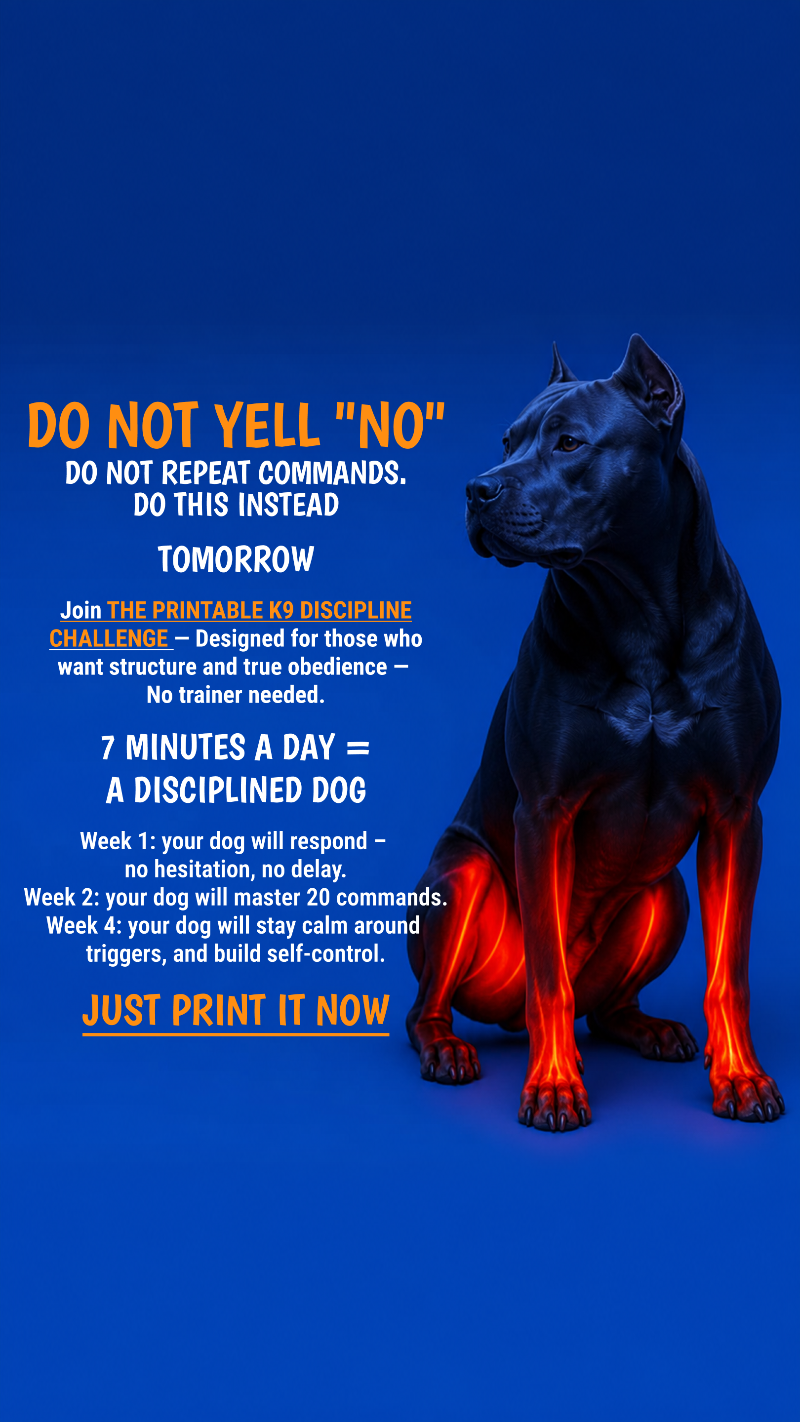 Max Anderson Facebook ad: Take the lead. Start now