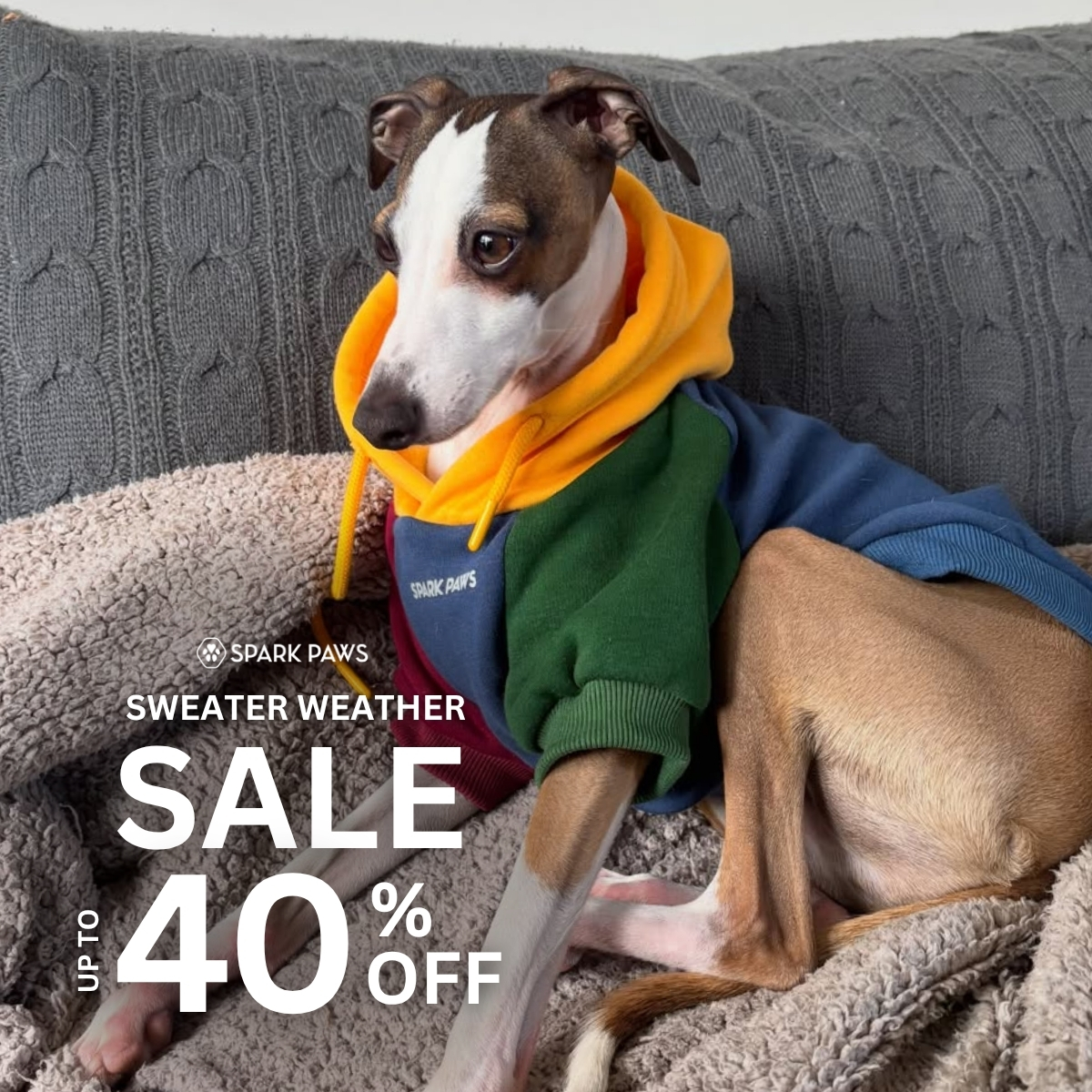 Spark Paws Facebook ad