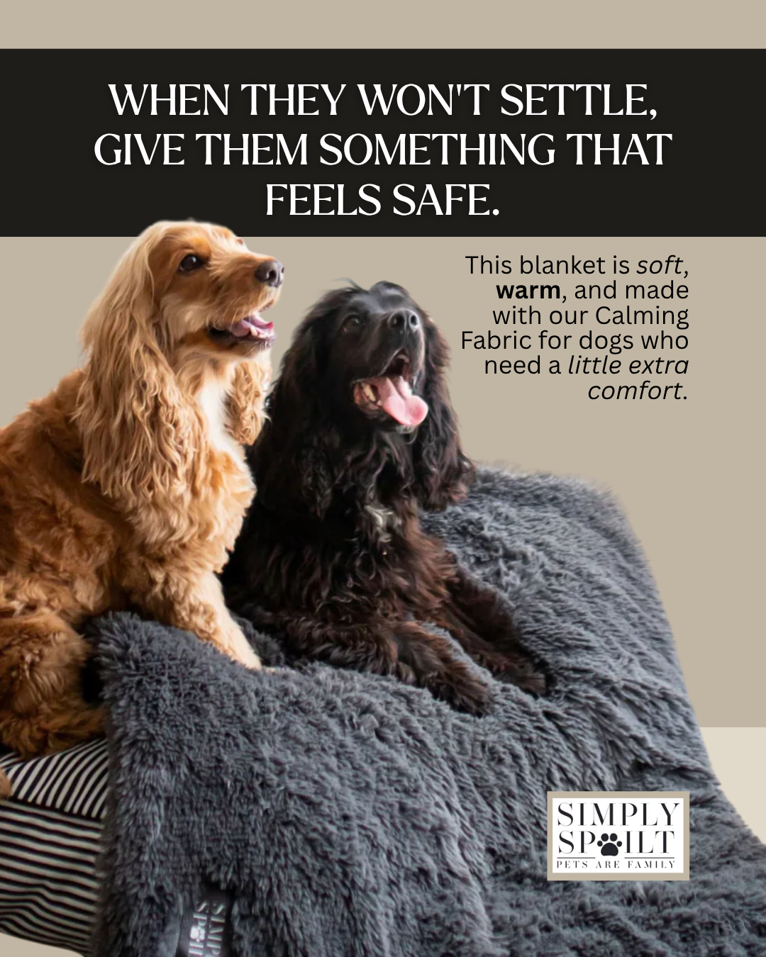Simply Spoilt  - Luxury pet products Facebook ad