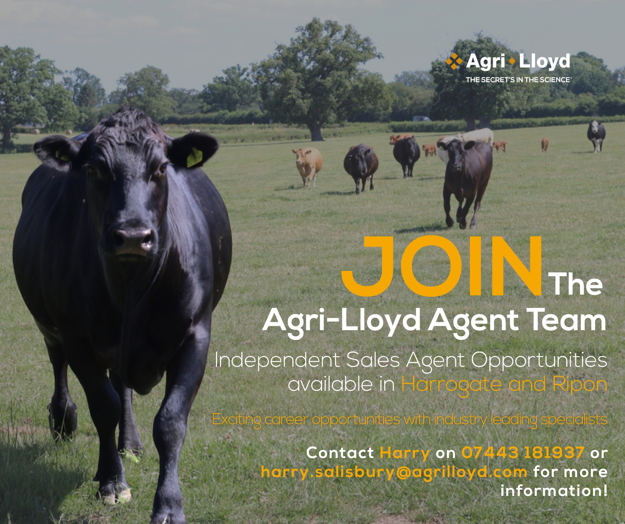 Agri-Lloyd Facebook ad