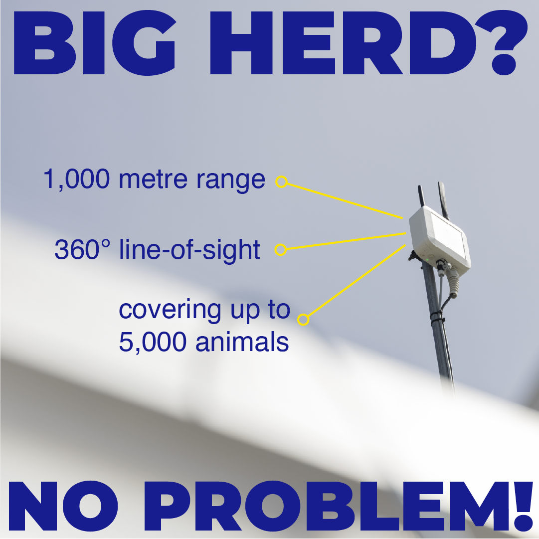 Datamars Livestock NZ Facebook ad: One gate