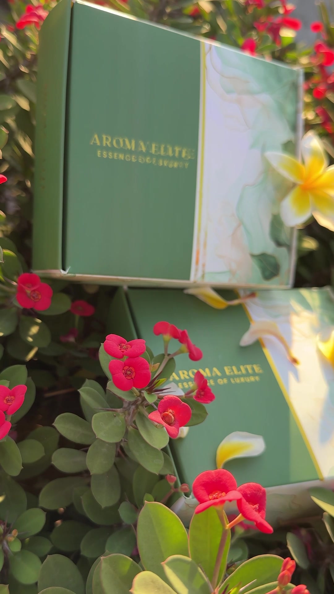 Aroma elite BD Facebook ad: Limited Pieces available only