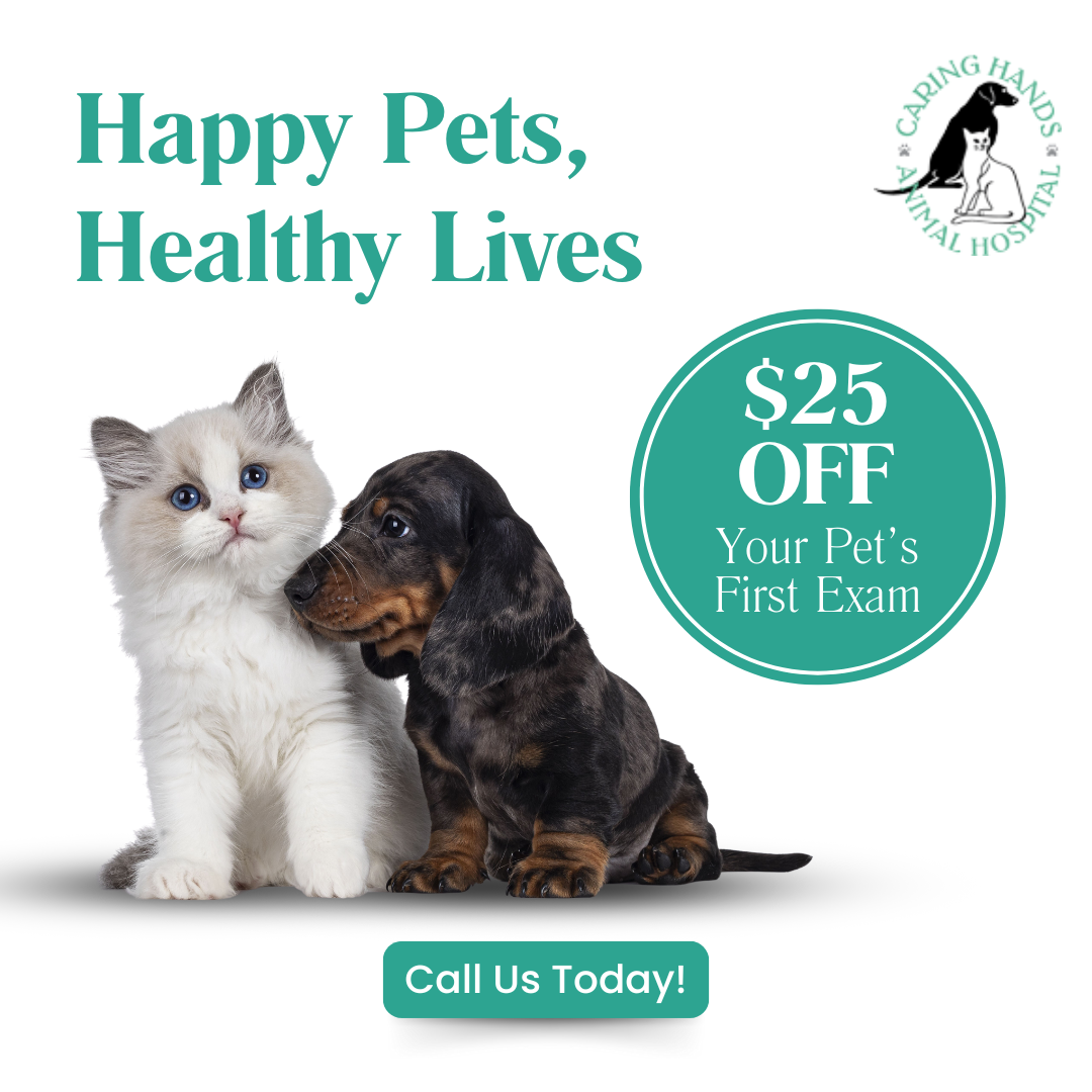 Caring Hands Animal Hospital: Suffolk Facebook ad
