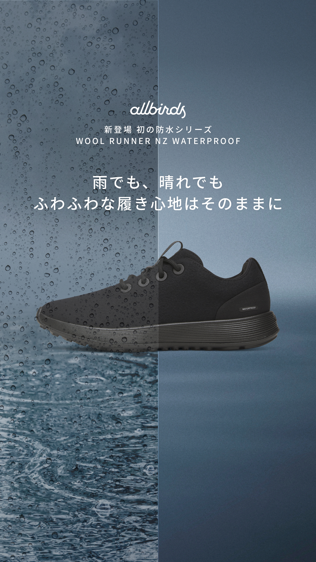 Allbirds Japan Facebook ad