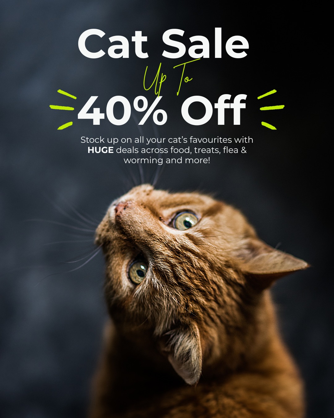 Budget Pet Products Facebook ad