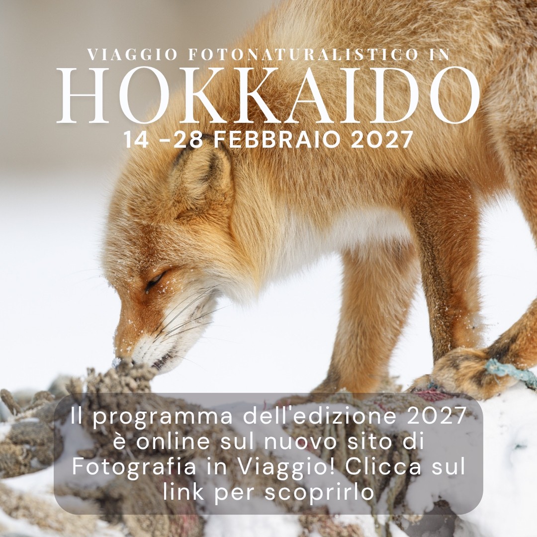 Enrico Fulco Photography Facebook ad: Viaggio fotografico Hokkaido e Honshu
