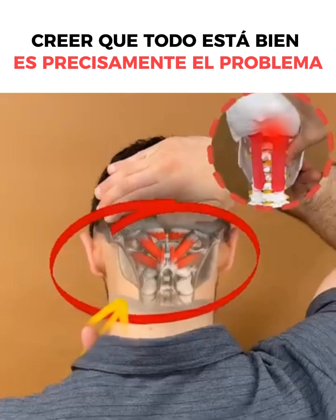 Vertaline Facebook ad: Por Qué Mareos, Taquicardia y Reflujo A Menudo Empiezan en…