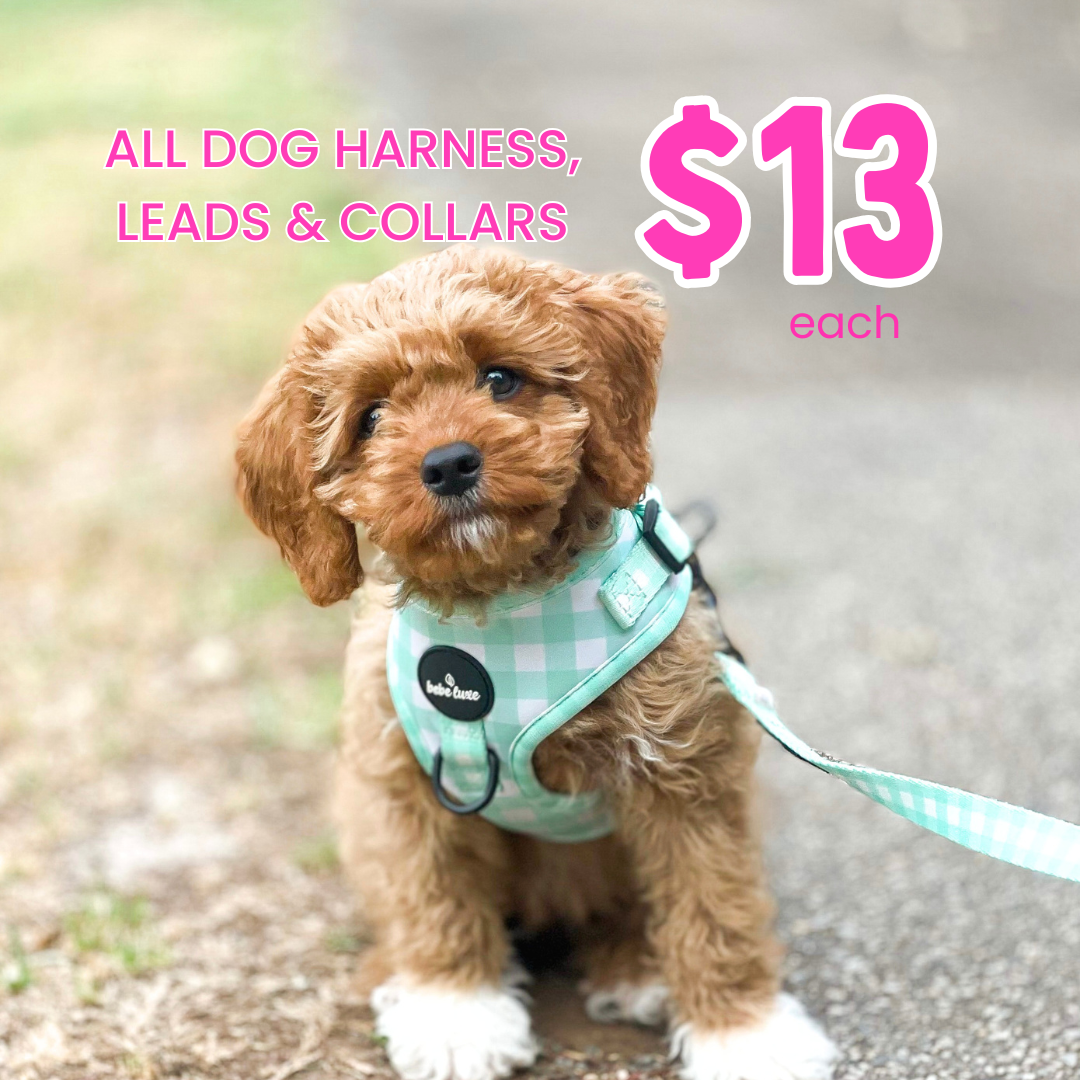 Bebe luxe Facebook ad: Everything just $13 each!