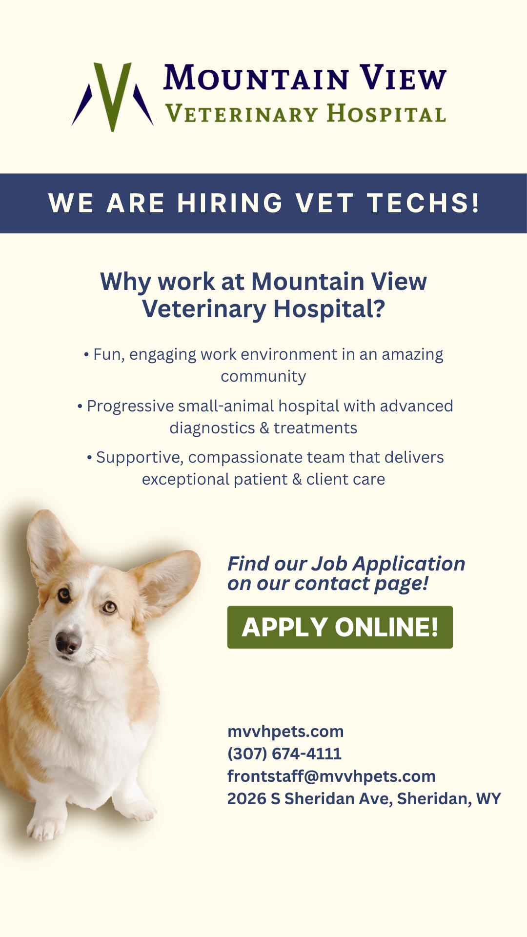 Mountain View Veterinary Hospital Facebook ad from Feb 11, 2026