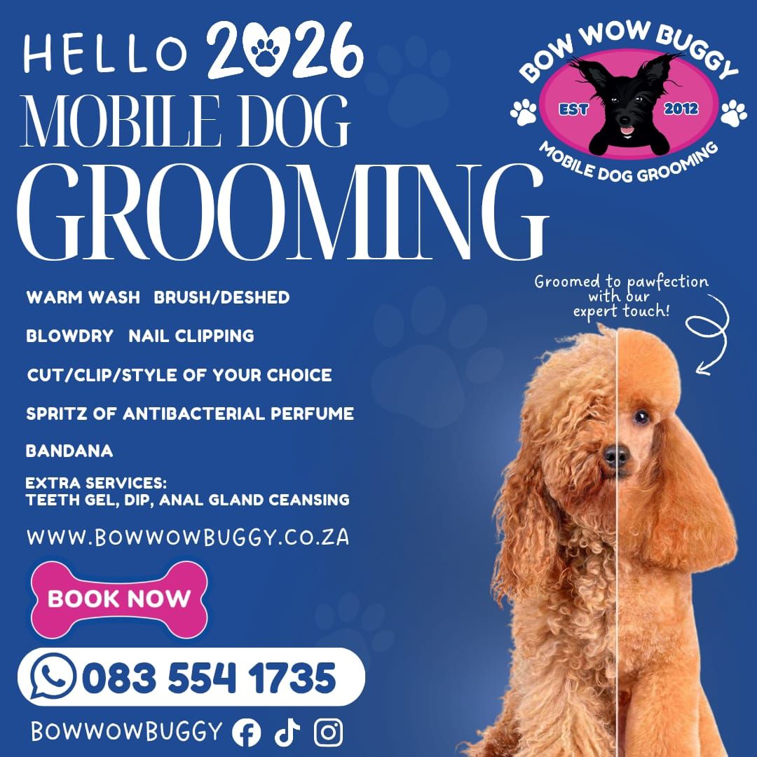 Bow Wow Buggy Facebook ad: Mobile Dog Grooming