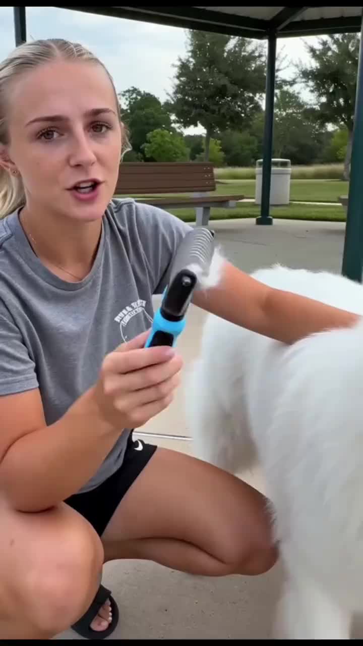 Bisnftwrem/D Facebook ad: New Pet Pro Grooming Tool