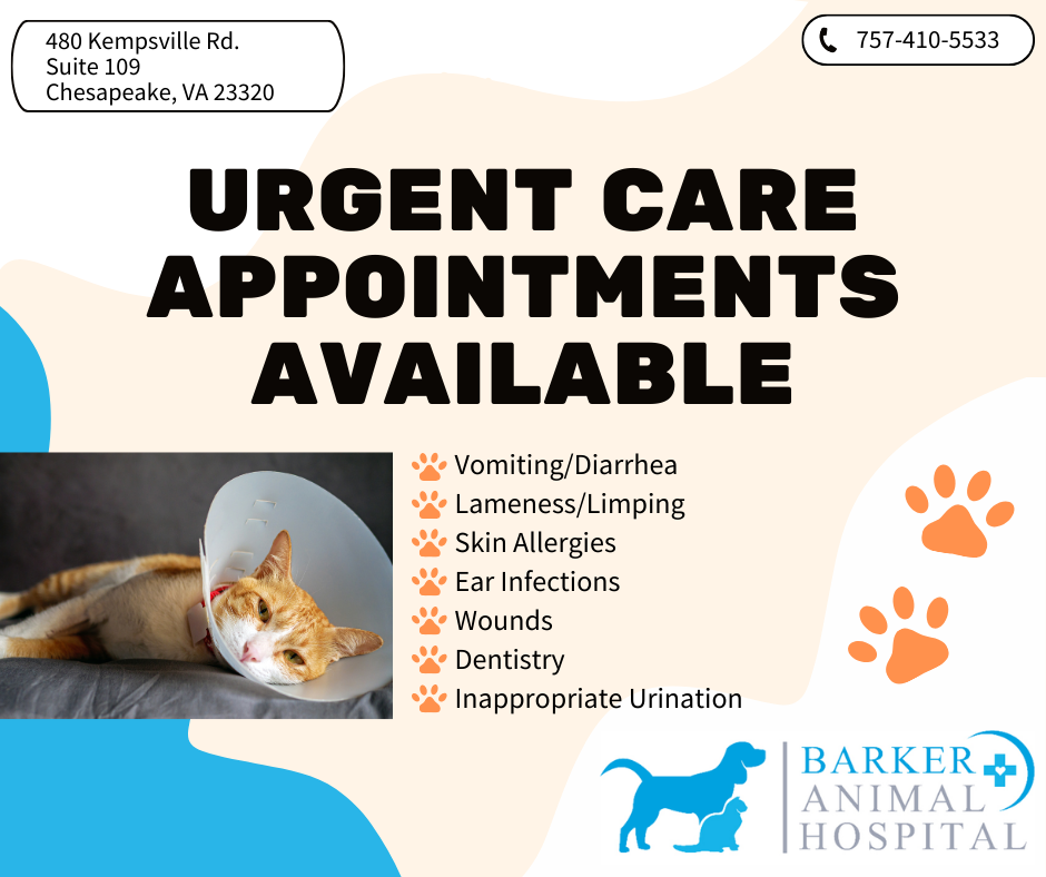 Barker Animal Hospital, LLC Facebook ad: Barker Animal Hospital