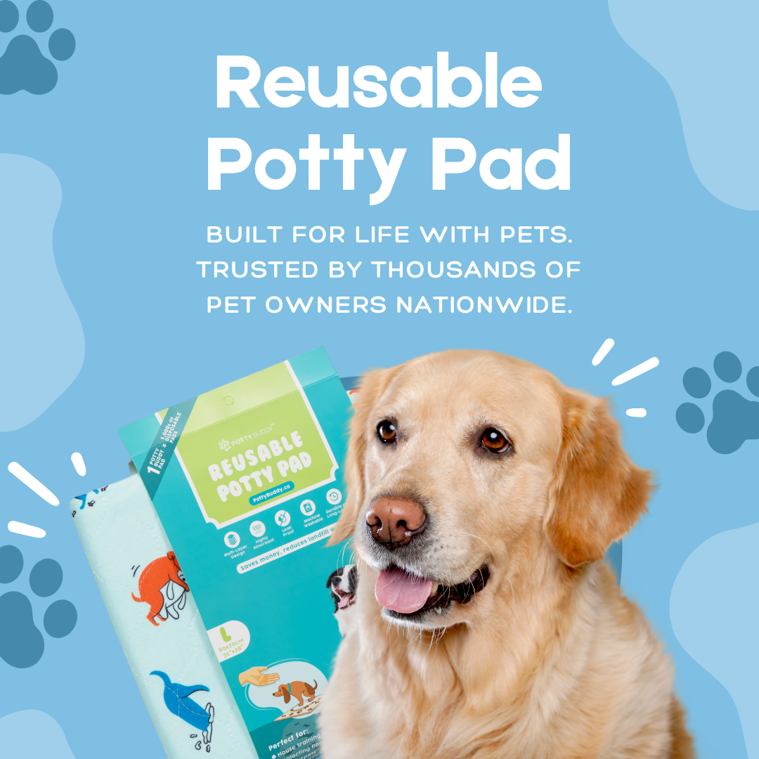 Potty Buddy Facebook ad