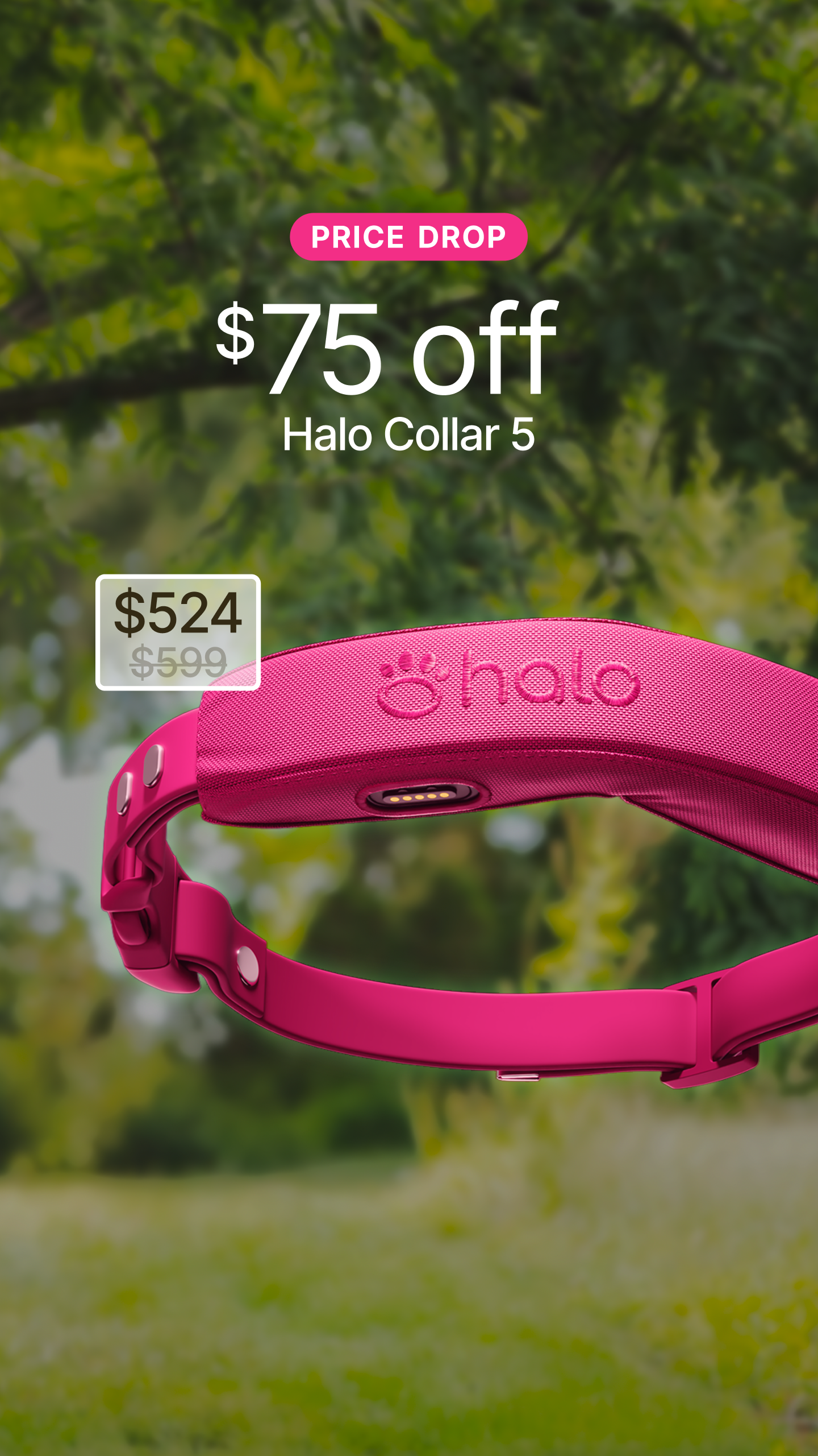 Halo Collar Facebook ad