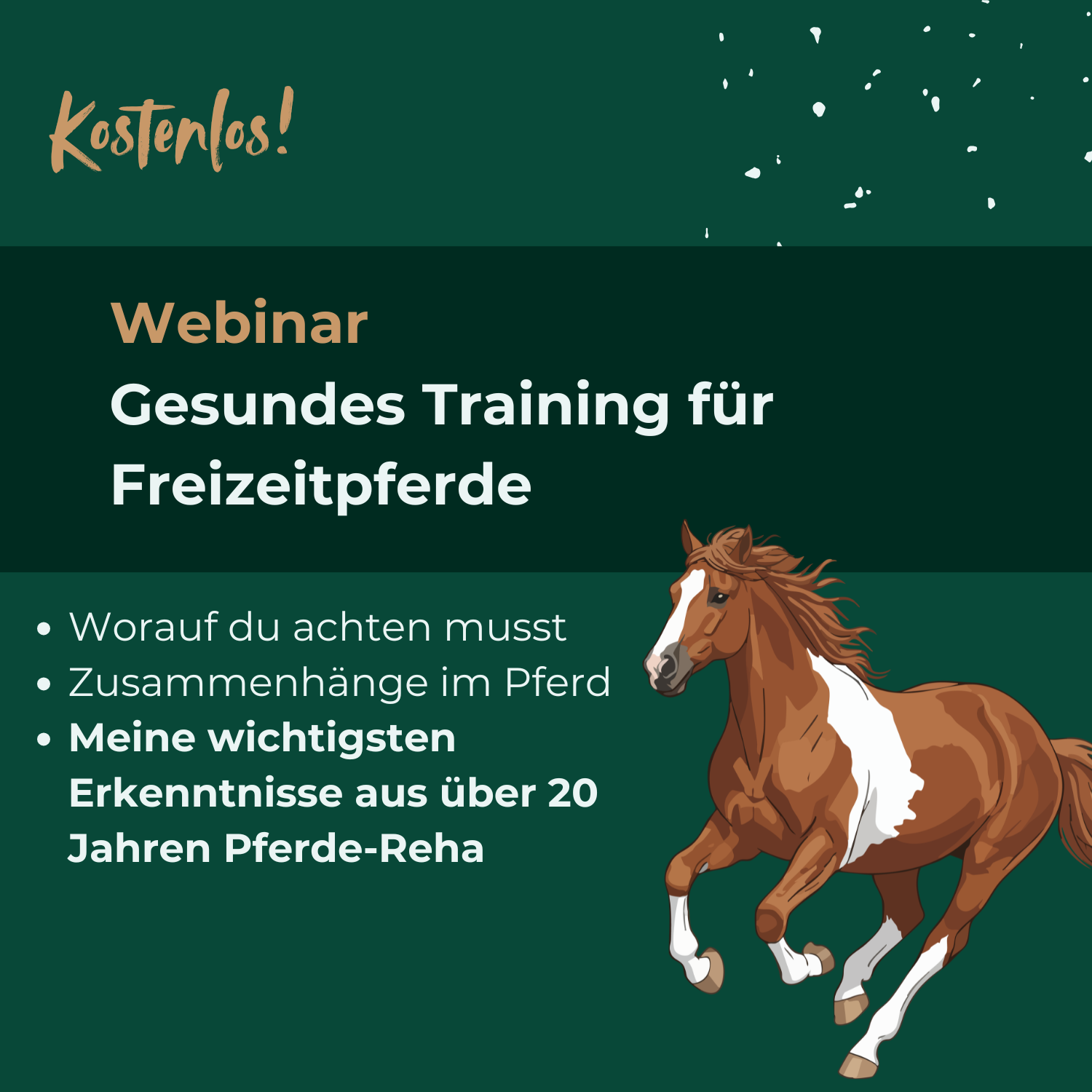 Pferdereha Friesland - Antje Wirtz Facebook ad