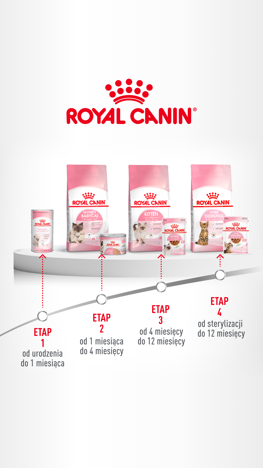 Royal Canin Facebook ad: ROYAL CANIN KITTEN