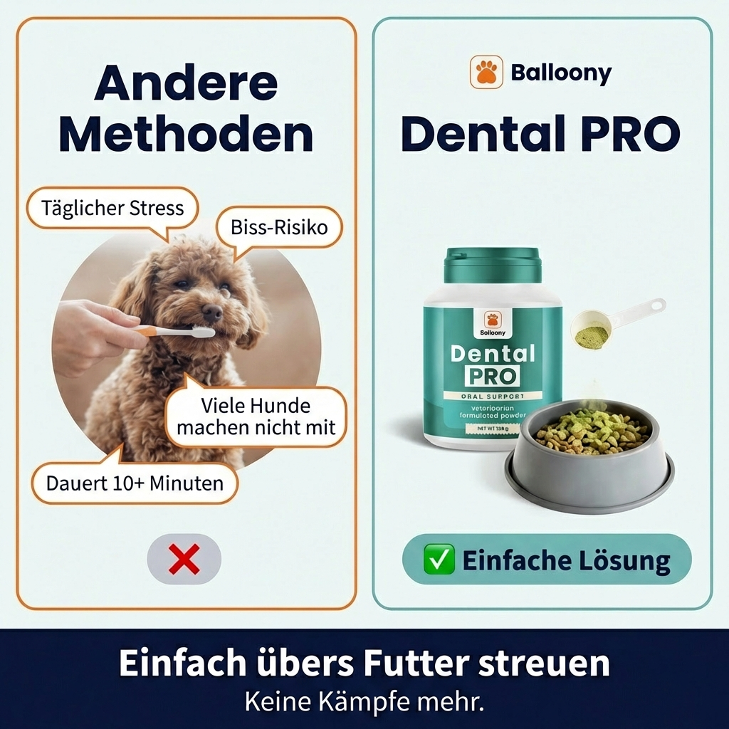 Balloony.pet Facebook ad