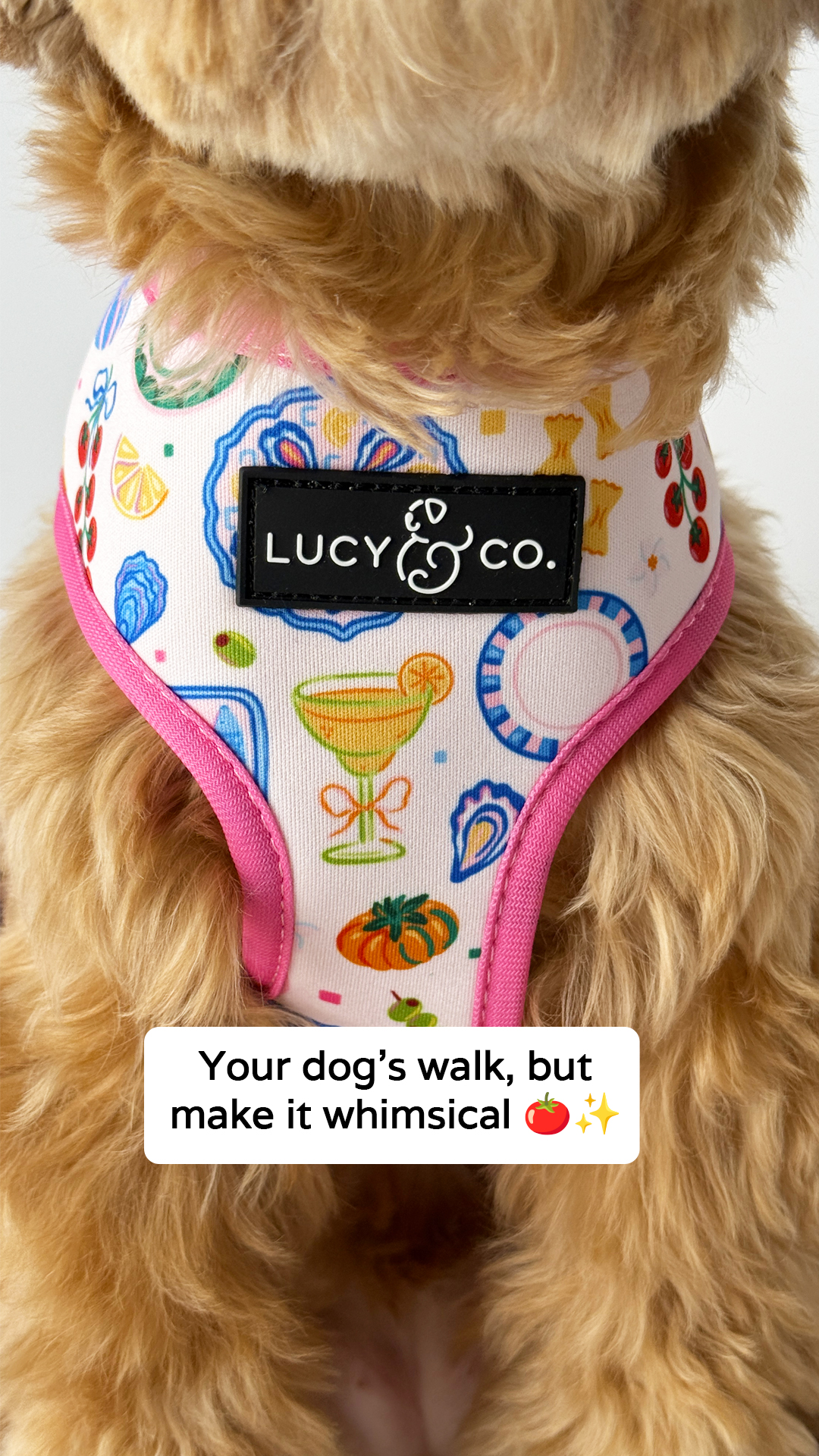 Lucy & Co. Facebook ad