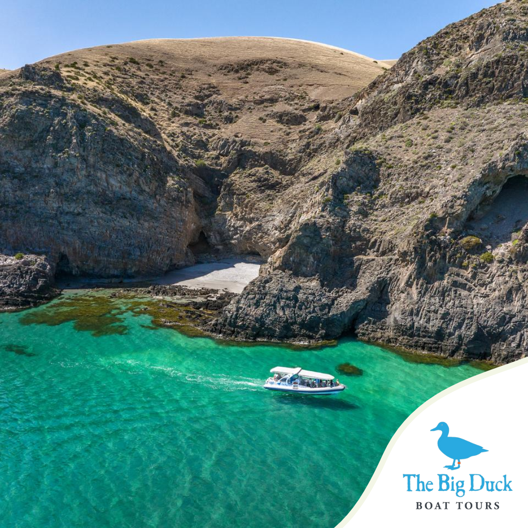 The Big Duck Boat Tours Facebook ad: The Must-Do Coastal Cruise Near Adelaide!