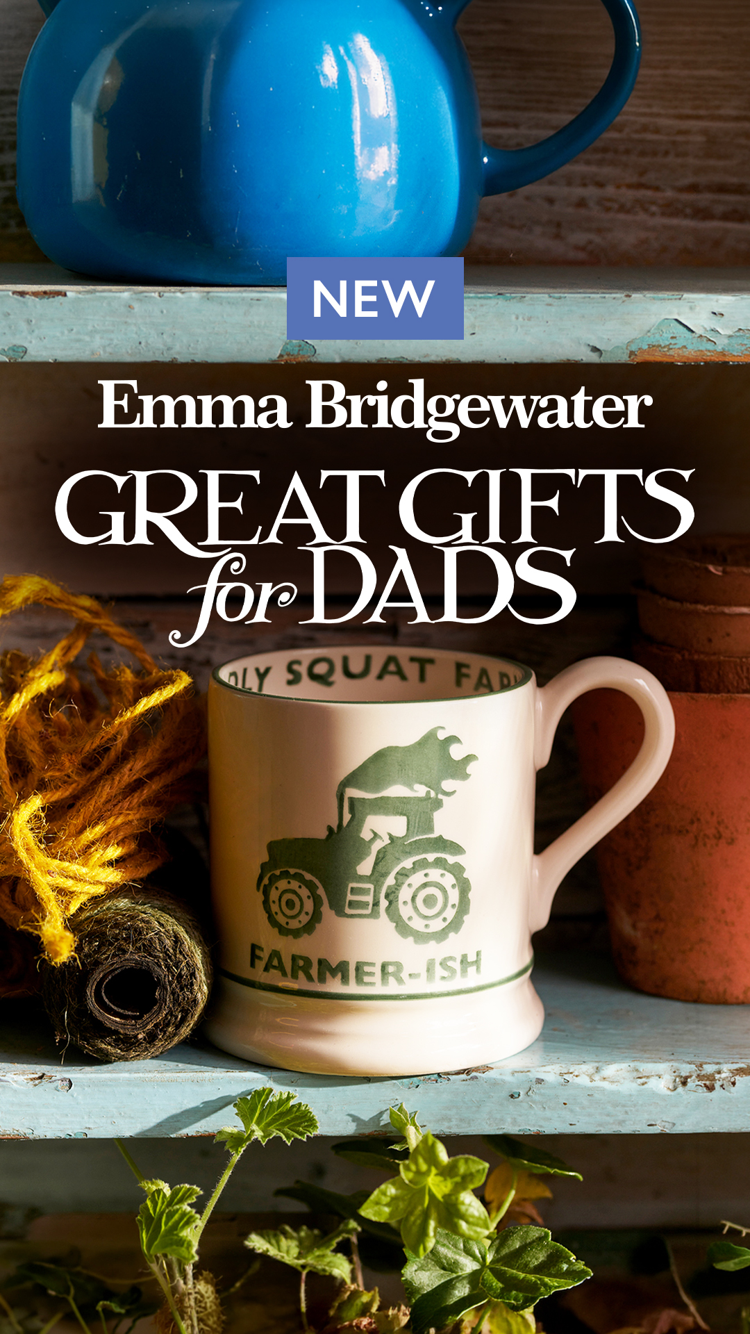 Emma Bridgewater Facebook ad