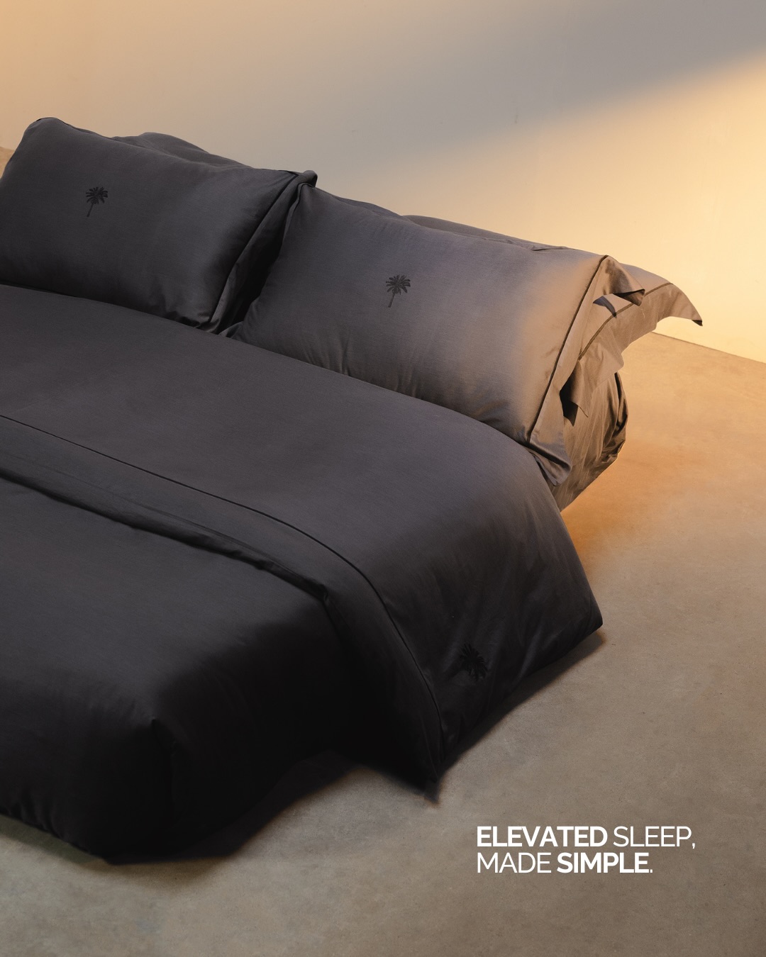 Casamera Facebook ad