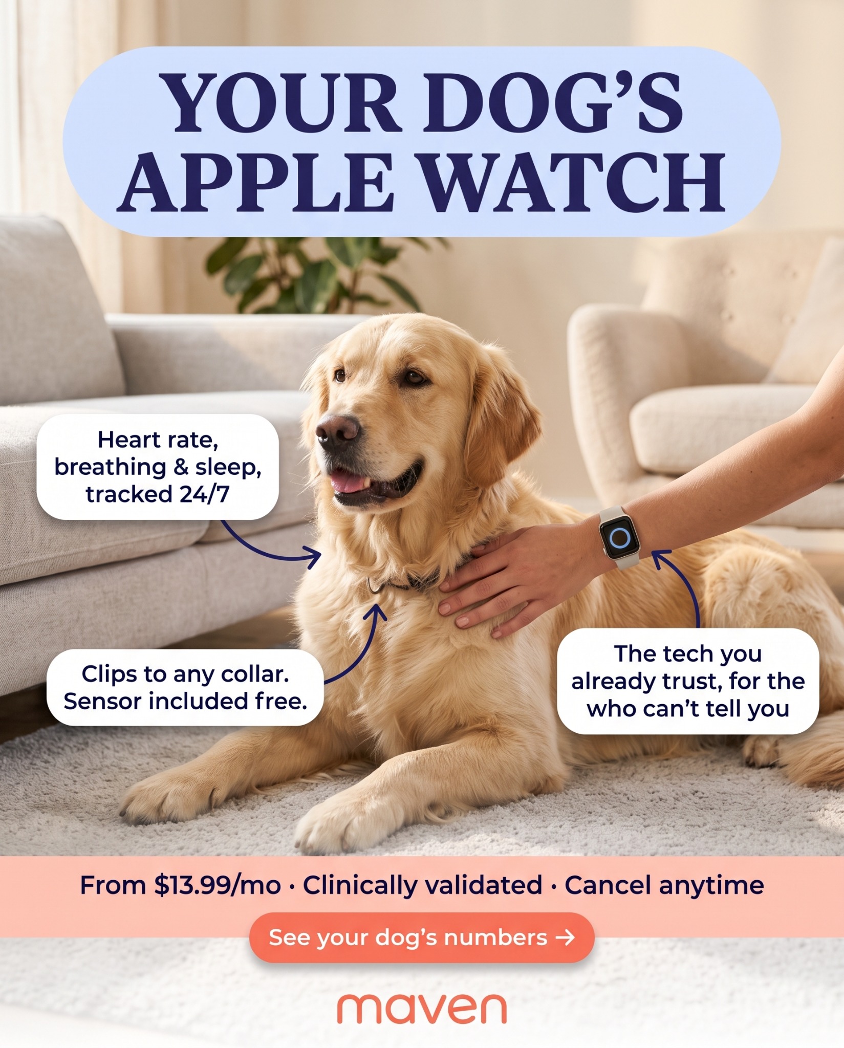 Maven Pet Facebook ad