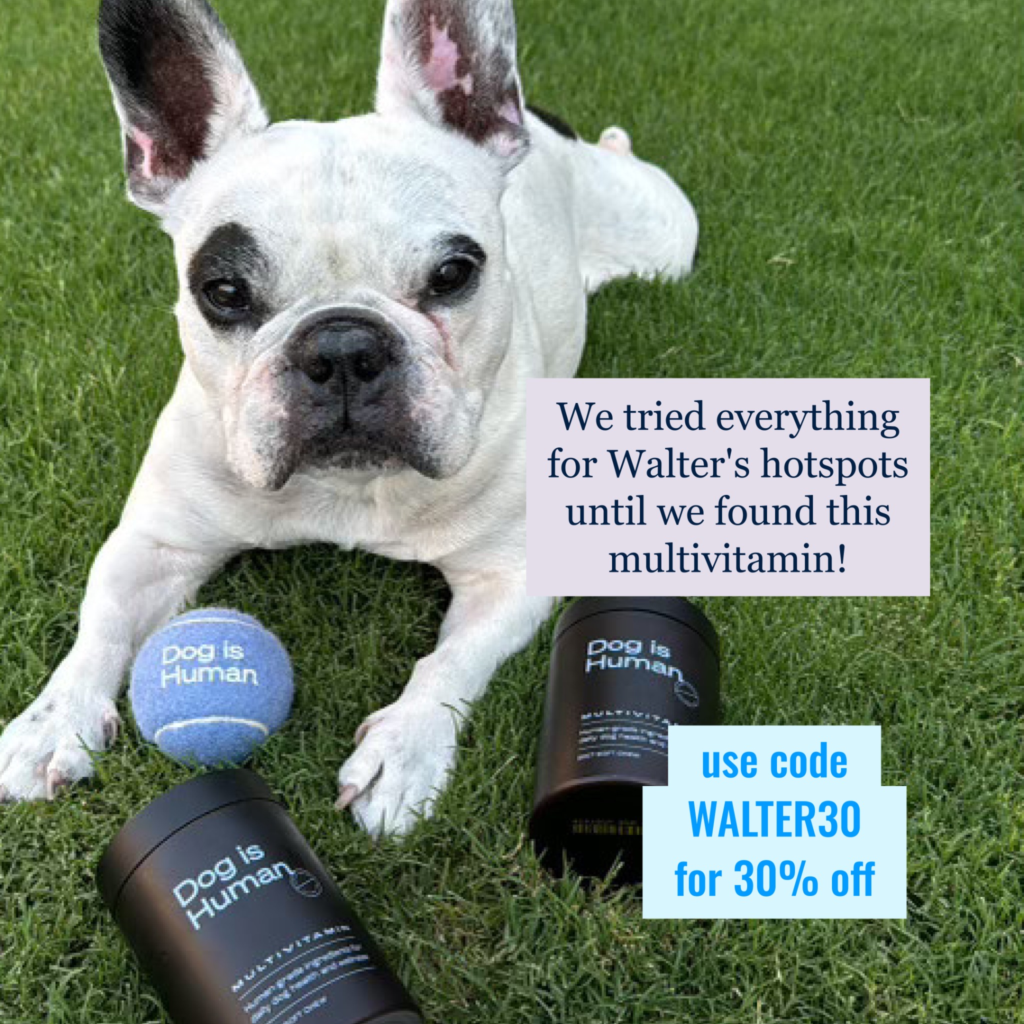 Walter Geoffrey Facebook ad