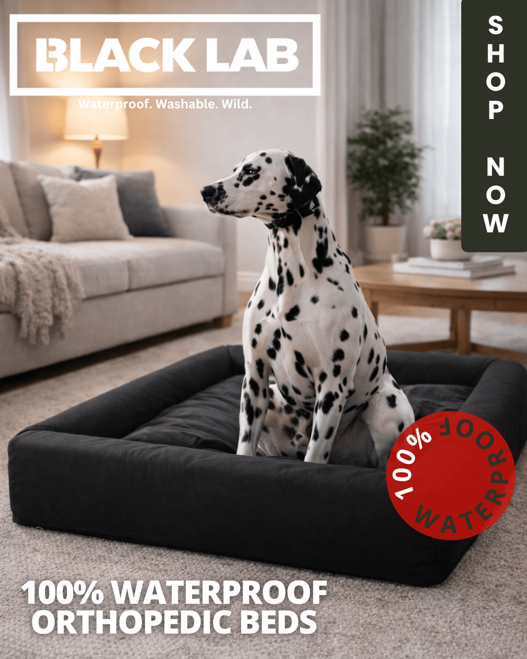 Black Lab Brands Facebook ad