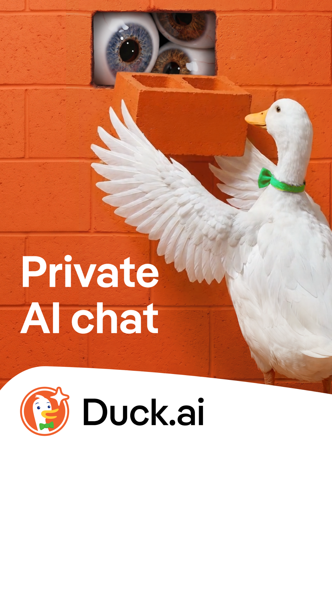DuckDuckGo Facebook ad