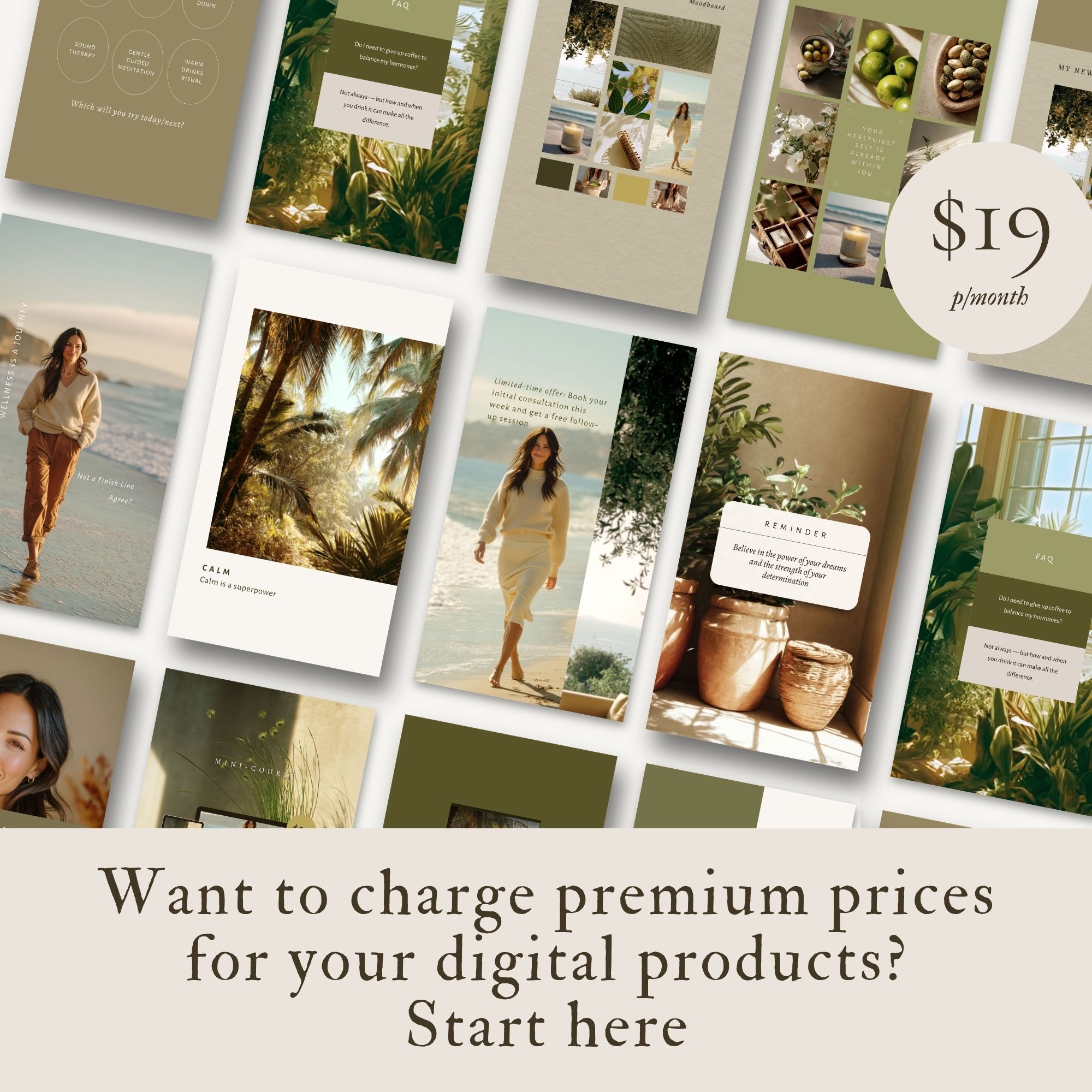 Rosey Willis Facebook ad: Premium PLR Templates
