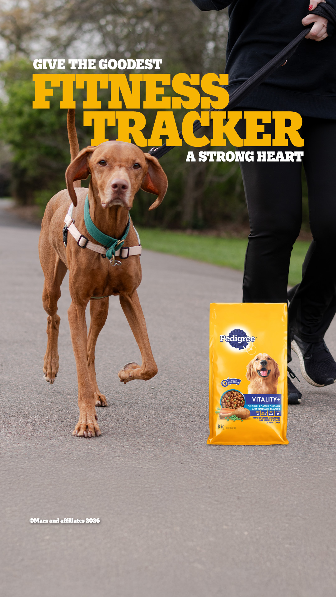 PEDIGREE Canada Facebook ad: Nourrissez le bien.ᴹꟲ
