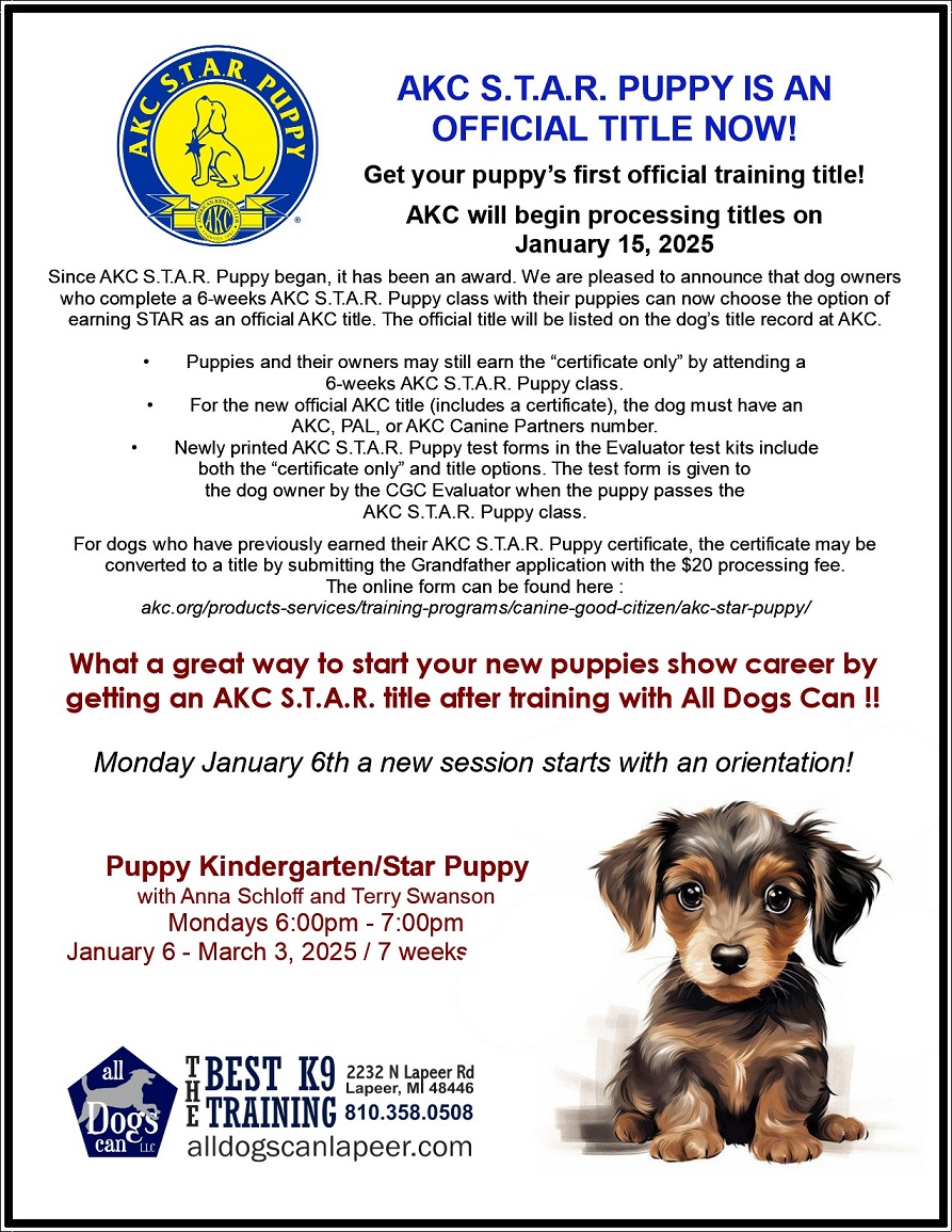 All Dogs Can  LLC Facebook ad