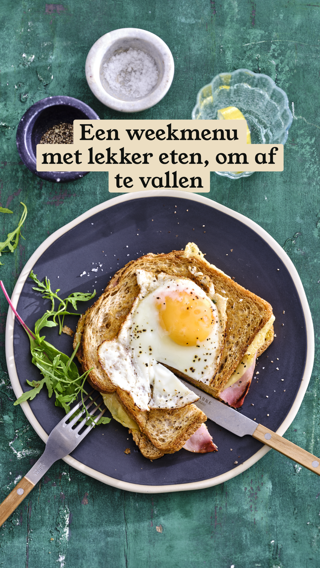 ProjectGezond.nl Facebook ad