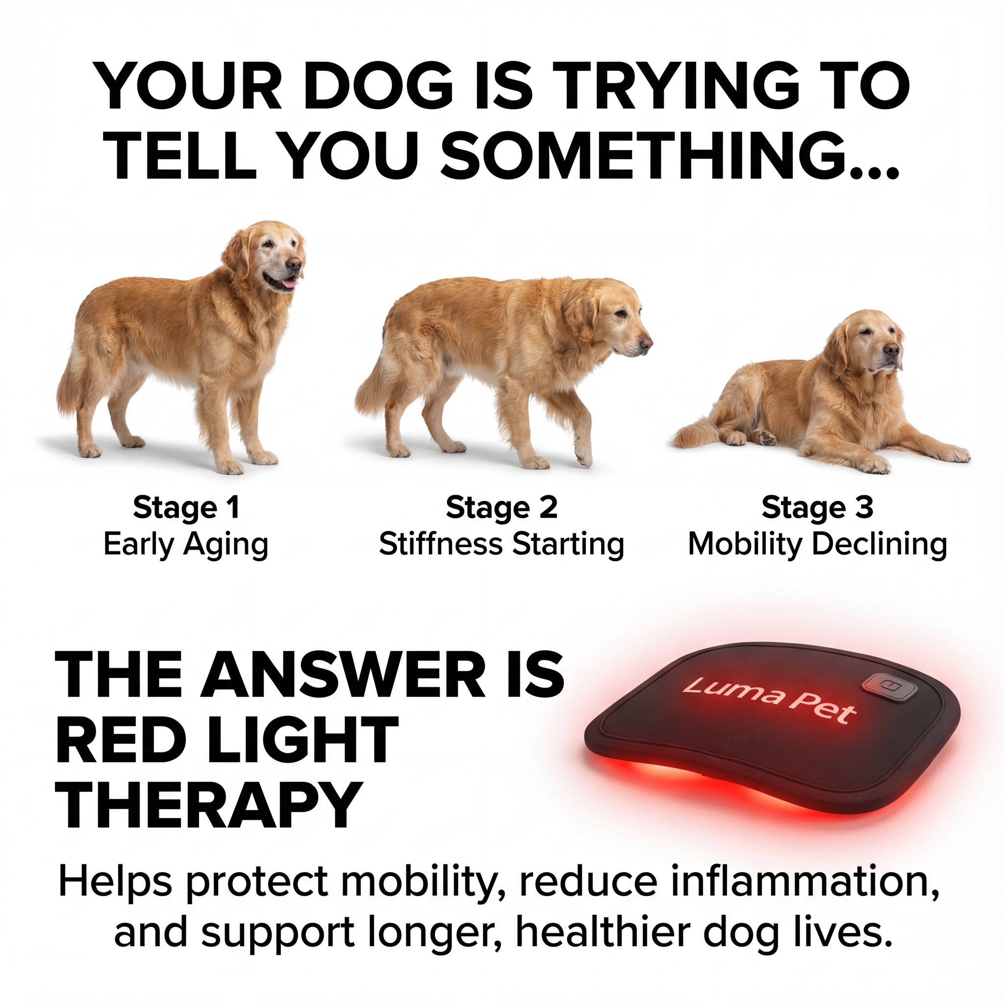 Emily Pet Tips Facebook ad