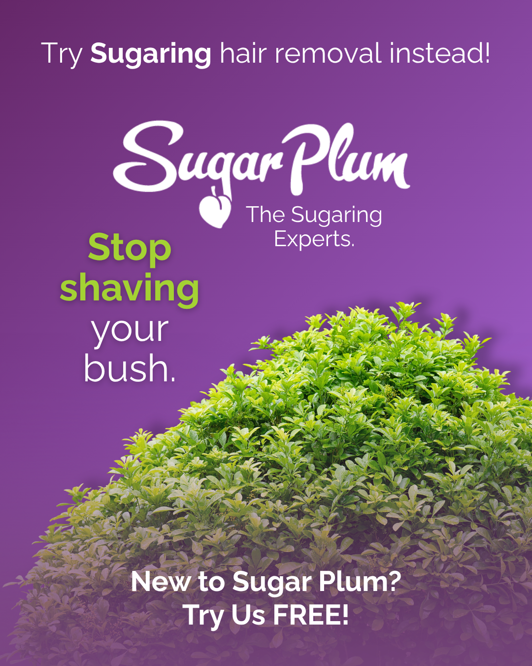 Sugar Plum: The Sugaring Experts Facebook ad: Stop shaving your bush!