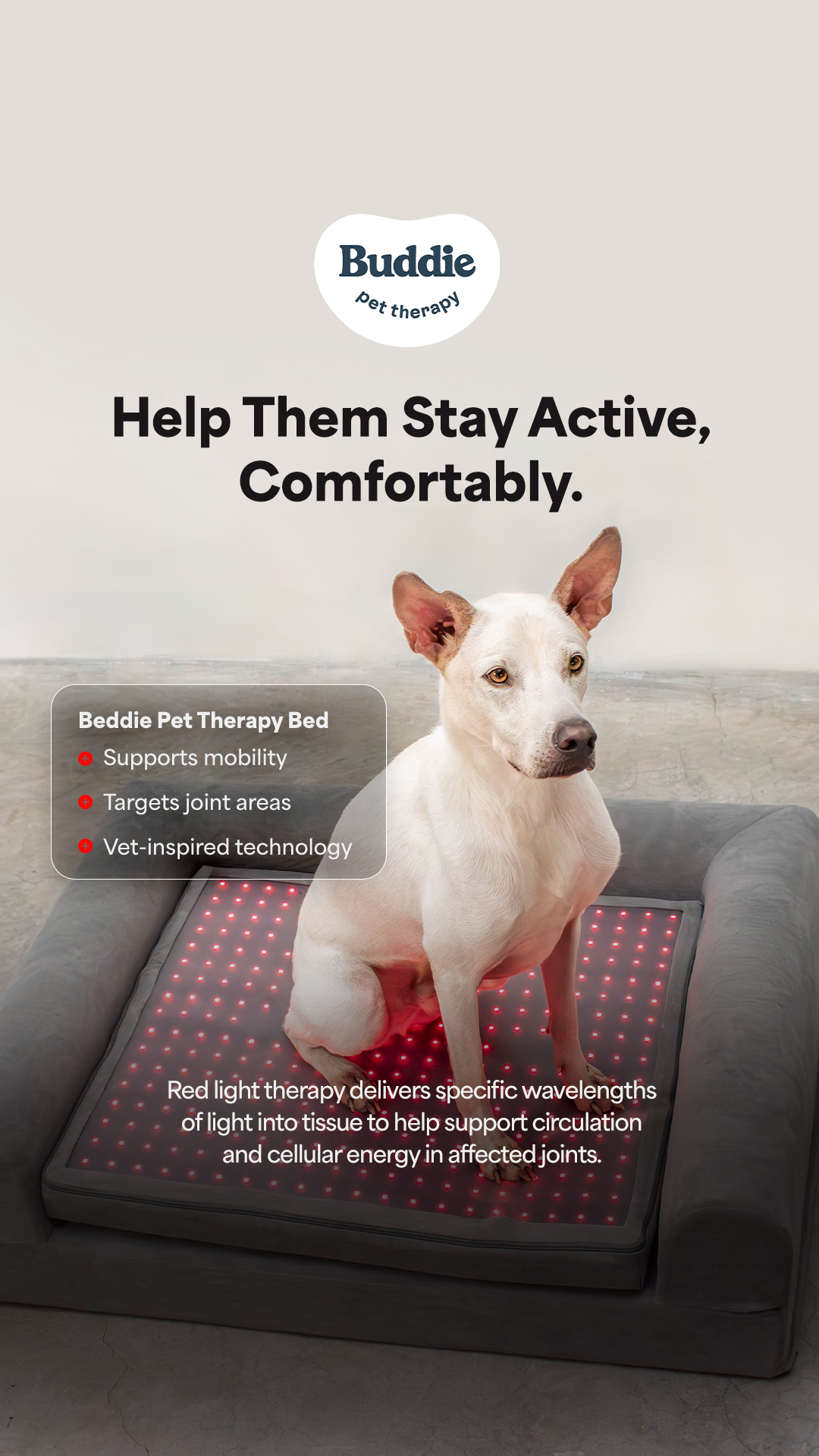 Buddie Pet Therapy Facebook ad