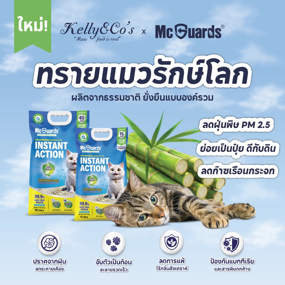 McGuards Pet Care Facebook ad: ทรายแมวรักษ์โลกแมคการ์ด Mcgaurds Instant Action!